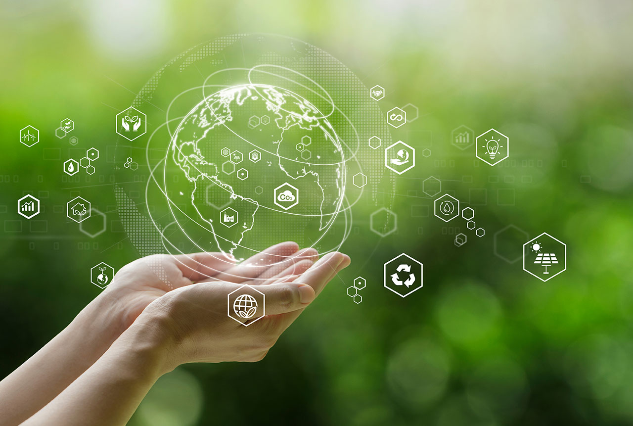 Sustainable Business Now: una piattaforma per lo sviluppo sostenibile | Solve.it